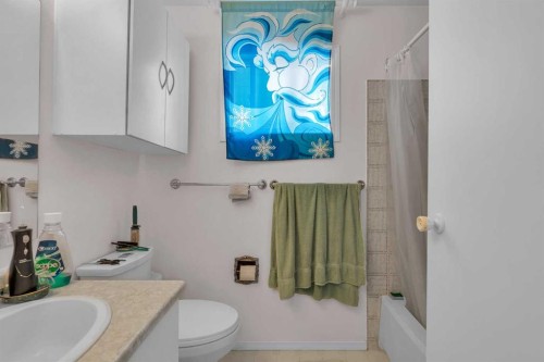218 Pinemeadow Road Ne, Calgary, AB - Indoor Photo Showing Bathroom