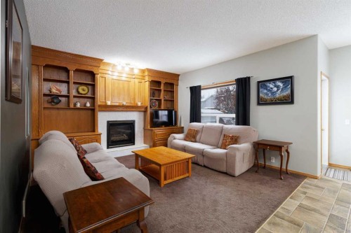 247 Mt Selkirk Close Se, Calgary, AB - Indoor Photo Showing Living Room With Fireplace