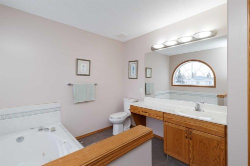 247 Mt Selkirk Close Se, Calgary, AB - Indoor Photo Showing Bathroom