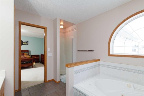 247 Mt Selkirk Close Se, Calgary, AB - Indoor Photo Showing Bathroom