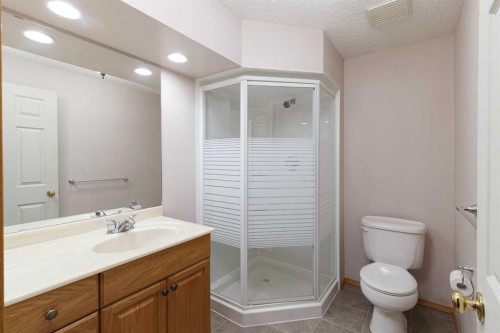 247 Mt Selkirk Close Se, Calgary, AB - Indoor Photo Showing Bathroom