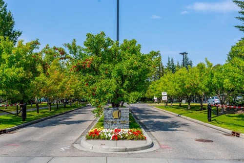247 Mt Selkirk Close Se, Calgary, AB - Outdoor With View