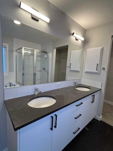 342 Baywater Common Sw, Airdrie, AB - Indoor Photo Showing Bathroom