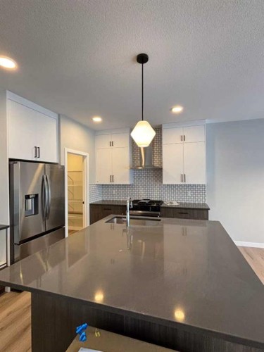 342 Baywater Common Sw, Airdrie, AB - Indoor Photo Showing Kitchen With Double Sink With Upgraded Kitchen