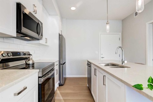2307-42 Cranbrook Gardens Se, Calgary, AB - Indoor Photo Showing Kitchen With Stainless Steel Kitchen With Double Sink With Upgraded Kitchen