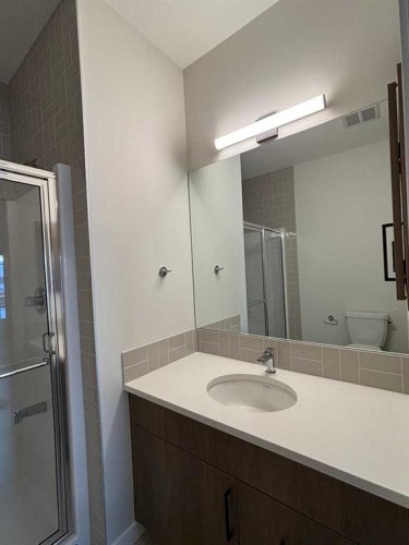 2762 Baywater Landing, Airdrie, AB - Indoor Photo Showing Bathroom