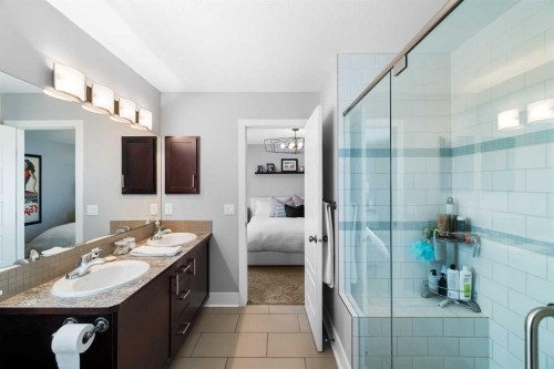 13 Royal Birch Park Nw, Calgary, AB - Indoor Photo Showing Bathroom