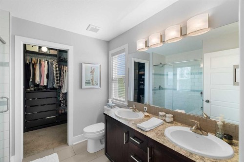 13 Royal Birch Park Nw, Calgary, AB - Indoor Photo Showing Bathroom