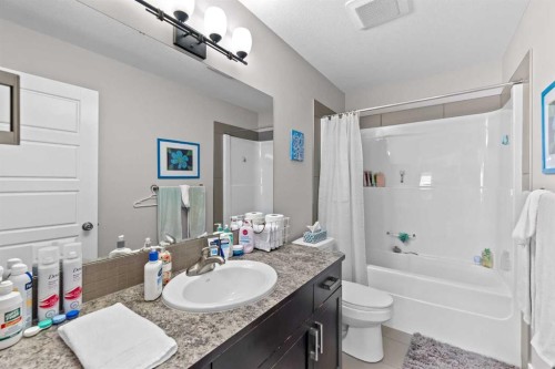 13 Royal Birch Park Nw, Calgary, AB - Indoor Photo Showing Bathroom