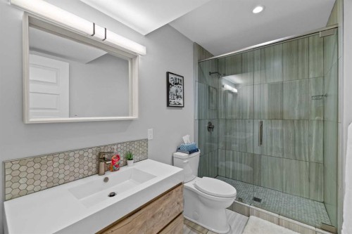 13 Royal Birch Park Nw, Calgary, AB - Indoor Photo Showing Bathroom