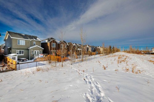 13 Royal Birch Park Nw, Calgary, AB - Outdoor