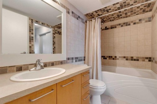 106-35 Richard Court Sw, Calgary, AB - Indoor Photo Showing Bathroom