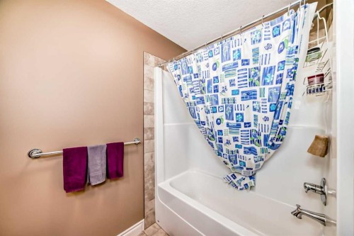 97 Auburn Glen Drive Se, Calgary, AB - Indoor Photo Showing Bathroom