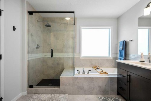 102 Creekside Way Sw, Calgary, AB - Indoor Photo Showing Bathroom