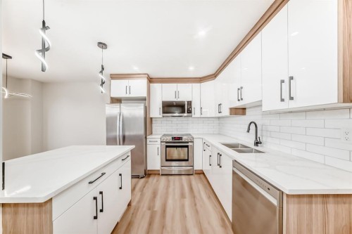 100 Beddington Circle Ne, Calgary, AB - Indoor Photo Showing Kitchen With Double Sink With Upgraded Kitchen