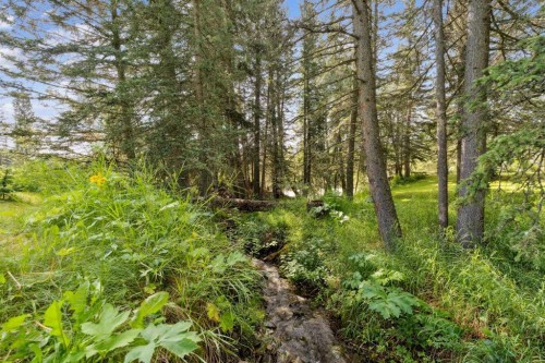 67 Bracken Point, Bragg Creek, AB - Outdoor With View