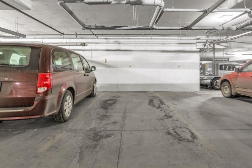 2314-220 Seton Grove Se, Calgary, AB - Indoor Photo Showing Garage