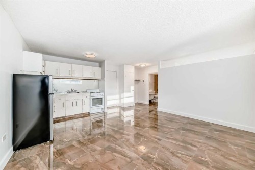 102-316 1 Avenue Ne, Calgary, AB - Indoor Photo Showing Kitchen