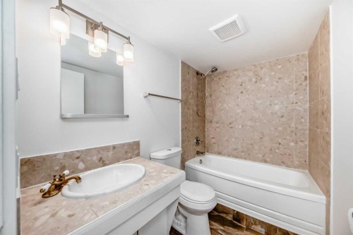 102-316 1 Avenue Ne, Calgary, AB - Indoor Photo Showing Bathroom