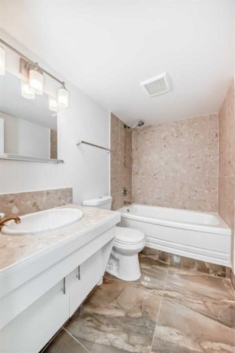 102-316 1 Avenue Ne, Calgary, AB - Indoor Photo Showing Bathroom