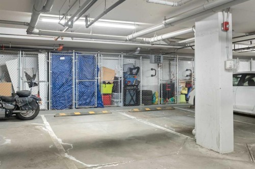 1411-99 Copperstone Park Se, Calgary, AB - Indoor Photo Showing Garage