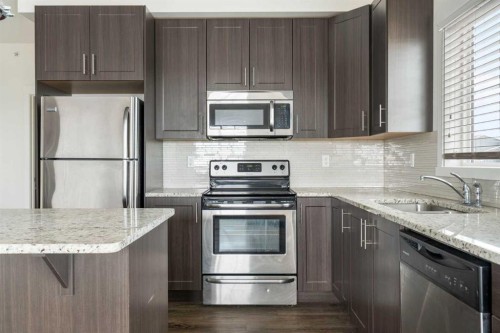 1411-99 Copperstone Park Se, Calgary, AB - Indoor Photo Showing Kitchen With Upgraded Kitchen