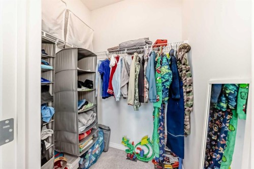 257 Carrington Way Nw, Calgary, AB - Indoor With Storage