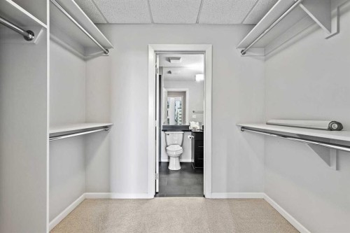2008-211 13 Avenue Se, Calgary, AB - Indoor With Storage
