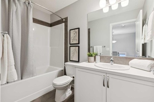 98 Magnolia Square Se, Calgary, AB - Indoor Photo Showing Bathroom