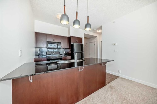 1313-8880 Horton Road Sw, Calgary, AB - Indoor Photo Showing Kitchen