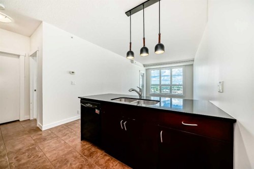 1313-8880 Horton Road Sw, Calgary, AB - Indoor Photo Showing Kitchen With Double Sink