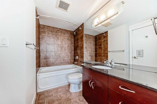 1313-8880 Horton Road Sw, Calgary, AB - Indoor Photo Showing Bathroom