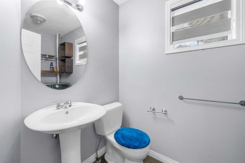 118 Copperfield Lane Se, Calgary, AB - Indoor Photo Showing Bathroom