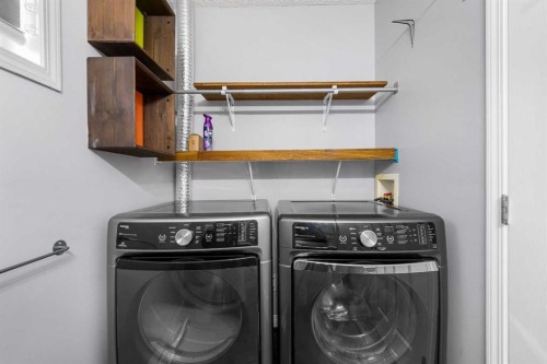 118 Copperfield Lane Se, Calgary, AB - Indoor Photo Showing Laundry Room