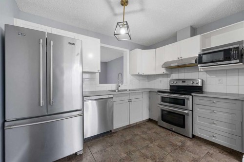 118 Copperfield Lane Se, Calgary, AB - Indoor Photo Showing Kitchen With Double Sink