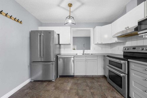 118 Copperfield Lane Se, Calgary, AB - Indoor Photo Showing Kitchen With Double Sink With Upgraded Kitchen