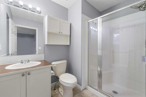 118 Copperfield Lane Se, Calgary, AB - Indoor Photo Showing Bathroom