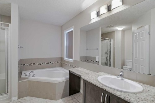 206 Pantego View Nw, Calgary, AB - Indoor Photo Showing Bathroom