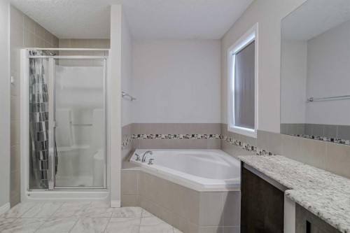 206 Pantego View Nw, Calgary, AB - Indoor Photo Showing Bathroom