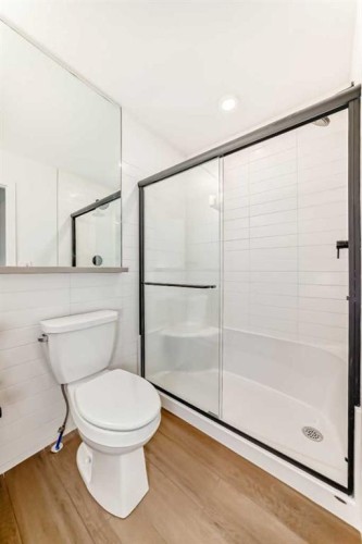 103-30 Rochester View Nw, Calgary, AB - Indoor Photo Showing Bathroom
