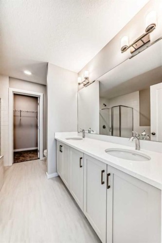 182 Walgrove Manor Se, Calgary, AB - Indoor Photo Showing Bathroom