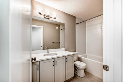 182 Walgrove Manor Se, Calgary, AB - Indoor Photo Showing Bathroom