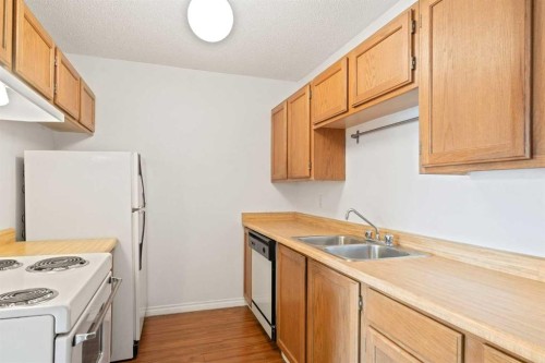 303-239 6 Avenue Ne, Calgary, AB - Indoor Photo Showing Kitchen With Double Sink
