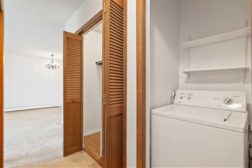 303-239 6 Avenue Ne, Calgary, AB - Indoor Photo Showing Laundry Room