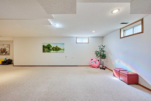 15 Hawkbury Close Nw, Calgary, AB - Indoor Photo Showing Basement