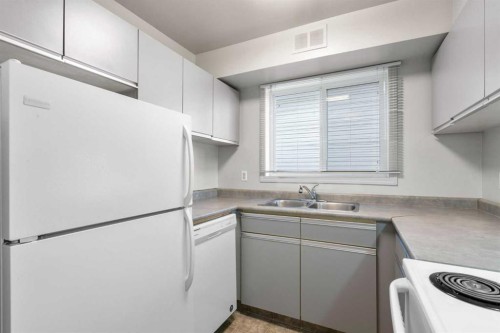 306-1720 13 Street Sw, Calgary, AB - Indoor Photo Showing Kitchen With Double Sink