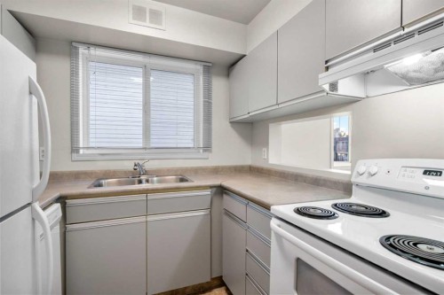 306-1720 13 Street Sw, Calgary, AB - Indoor Photo Showing Kitchen With Double Sink
