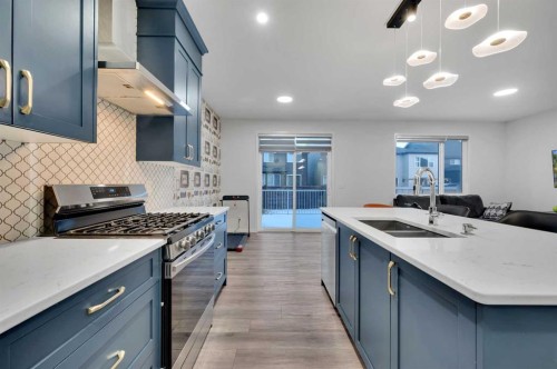 38 Seton Parade Se, Calgary, AB - Indoor Photo Showing Kitchen With Double Sink With Upgraded Kitchen