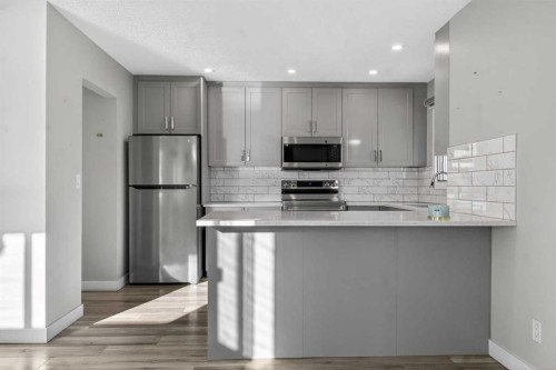 3304 56 Street Ne, Calgary, AB - Indoor Photo Showing Kitchen With Upgraded Kitchen