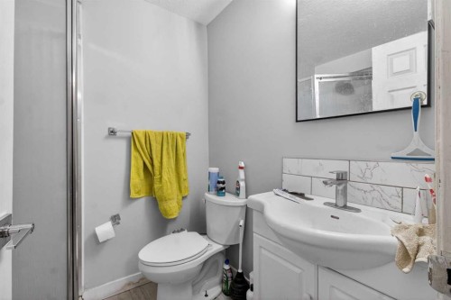 3304 56 Street Ne, Calgary, AB - Indoor Photo Showing Bathroom